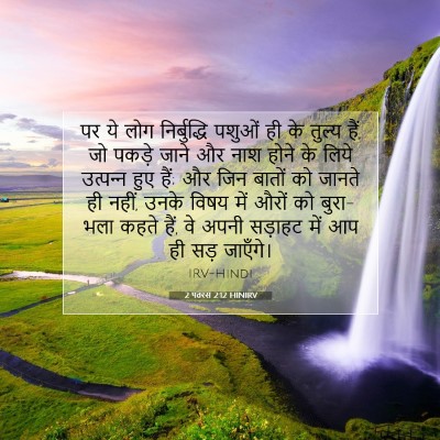 Picture 07 - 2 पतरस 2:12 HINIRV - पर ये लोग - Bible Verse Picture
