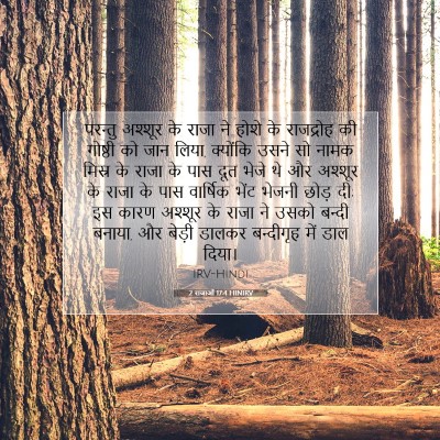 Picture 07 - 2 राजाओं 17:4 HINIRV - परन्तु अश्शूर के - Bible Verse Picture