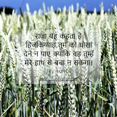 Picture 07 - 2 राजाओं 18:29 HINIRV - राजा यह कहता है, - Bible Verse Picture