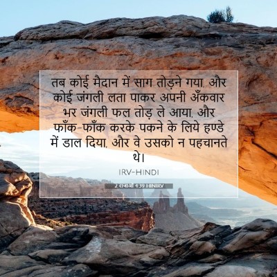 Picture 07 - 2 राजाओं 4:39 HINIRV - तब कोई मैदान में - Bible Verse Picture
