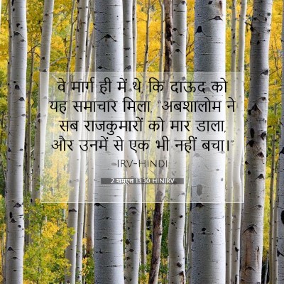 Picture 07 - 2 शमूएल 13:30 HINIRV - वे मार्ग ही में थे, - Bible Verse Picture