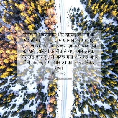 Picture 07 - 2 शमूएल 18:9 HINIRV - संयोग से अबशालोम - Bible Verse Picture