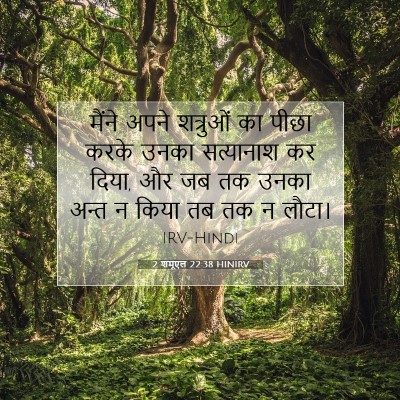 Picture 07 - 2 शमूएल 22:38 HINIRV - मैंने अपने - Bible Verse Picture
