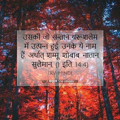 Picture 07 - 2 शमूएल 5:14 HINIRV - उसकी जो सन्तान - Bible Verse Picture