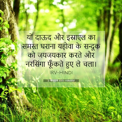 Picture 07 - 2 शमूएल 6:15 HINIRV - यों दाऊद और - Bible Verse Picture