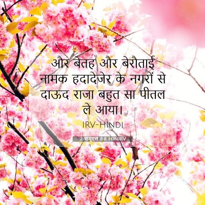 Picture 07 - 2 शमूएल 8:8 HINIRV - और बेतह और बेरौताई - Bible Verse Picture