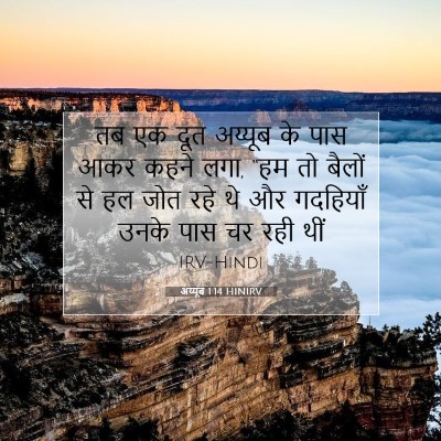 Picture 07 - अय्यूब 1:14 HINIRV - तब एक दूत अय्यूब के - Bible Verse Picture