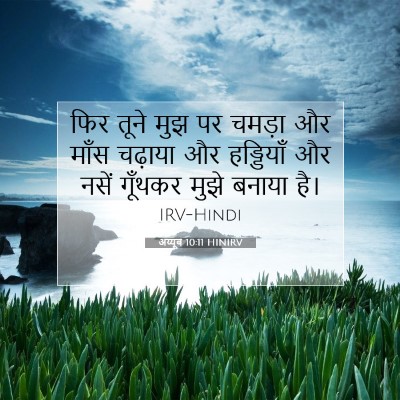 Picture 07 - अय्यूब 10:11 HINIRV - फिर तूने मुझ पर - Bible Verse Picture