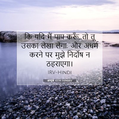 Picture 07 - अय्यूब 10:14 HINIRV - कि यदि मैं पाप - Bible Verse Picture