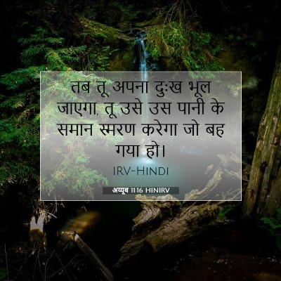Picture 07 - अय्यूब 11:16 HINIRV - तब तू अपना दुःख भूल - Bible Verse Picture