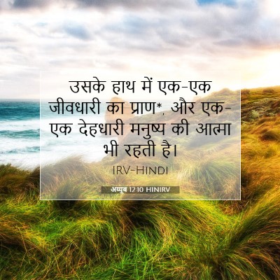 Picture 07 - अय्यूब 12:10 HINIRV - उसके हाथ में एक-एक - Bible Verse Picture