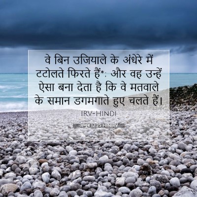Picture 07 - अय्यूब 12:25 HINIRV - वे बिन उजियाले के - Bible Verse Picture