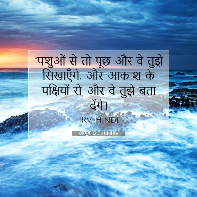 Picture 07 - अय्यूब 12:7 HINIRV - “पशुओं से तो पूछ और - Bible Verse Picture