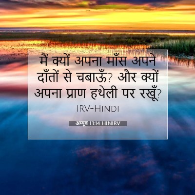 Picture 07 - अय्यूब 13:14 HINIRV - मैं क्यों अपना - Bible Verse Picture