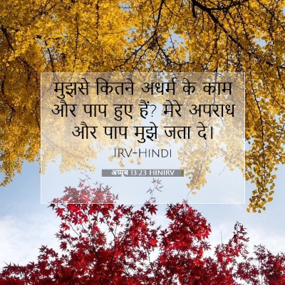 Picture 07 - अय्यूब 13:23 HINIRV - मुझसे कितने अधर्म - Bible Verse Picture