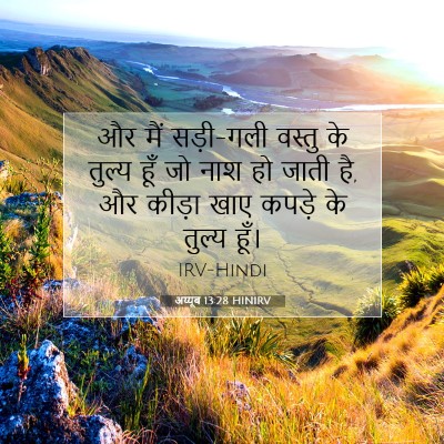 Picture 07 - अय्यूब 13:28 HINIRV - और मैं सड़ी-गली - Bible Verse Picture
