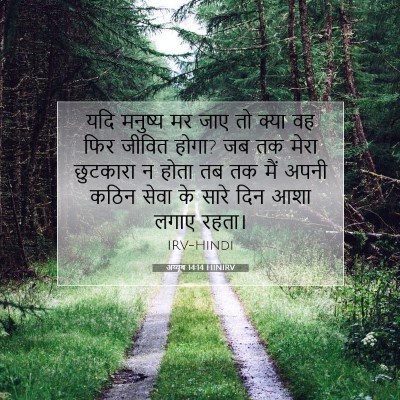 Picture 07 - अय्यूब 14:14 HINIRV - यदि मनुष्य मर जाए - Bible Verse Picture