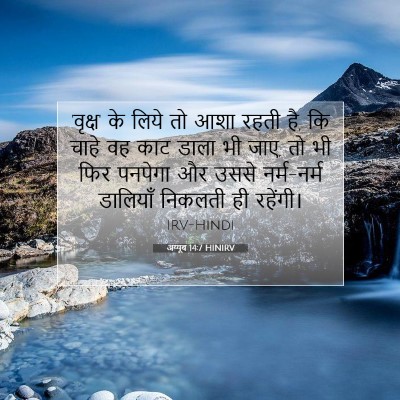 Picture 07 - अय्यूब 14:7 HINIRV - 'वृक्ष' के लिये तो - Bible Verse Picture