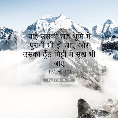 Picture 07 - अय्यूब 14:8 HINIRV - चाहे उसकी जड़ भूमि - Bible Verse Picture
