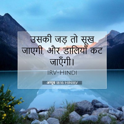 Picture 07 - अय्यूब 18:16 HINIRV - उसकी जड़ तो सूख - Bible Verse Picture