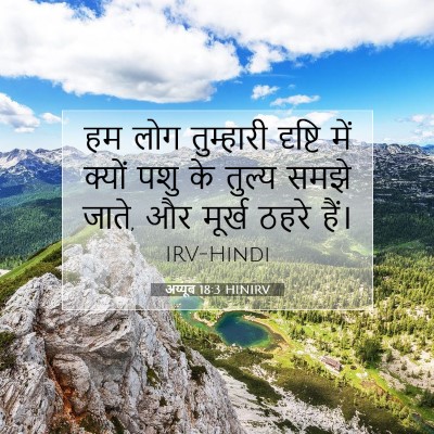Picture 07 - अय्यूब 18:3 HINIRV - हम लोग तुम्हारी - Bible Verse Picture