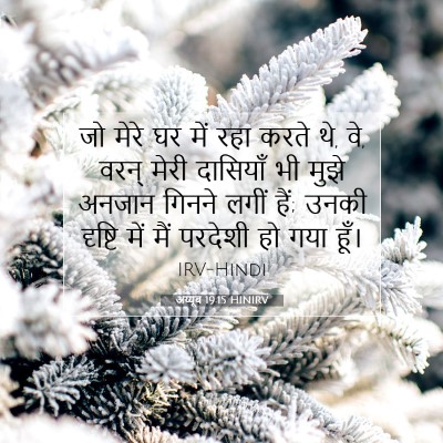 Picture 07 - अय्यूब 19:15 HINIRV - जो मेरे घर में रहा - Bible Verse Picture