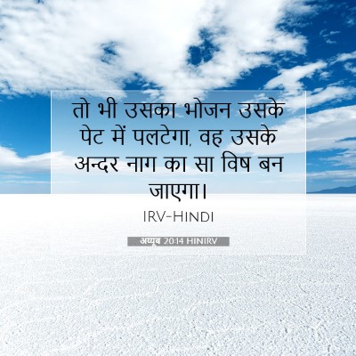 Picture 07 - अय्यूब 20:14 HINIRV - तो भी उसका भोजन - Bible Verse Picture