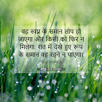Picture 07 - अय्यूब 20:8 HINIRV - वह स्वप्न के समान - Bible Verse Picture