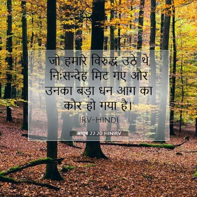 Picture 07 - अय्यूब 22:20 HINIRV - 'जो हमारे विरुद्ध - Bible Verse Picture
