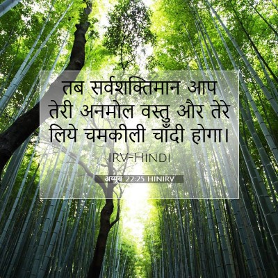 Picture 07 - अय्यूब 22:25 HINIRV - तब सर्वशक्तिमान - Bible Verse Picture