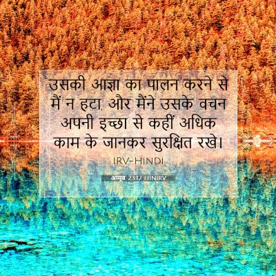 Picture 07 - अय्यूब 23:12 HINIRV - उसकी आज्ञा का पालन - Bible Verse Picture