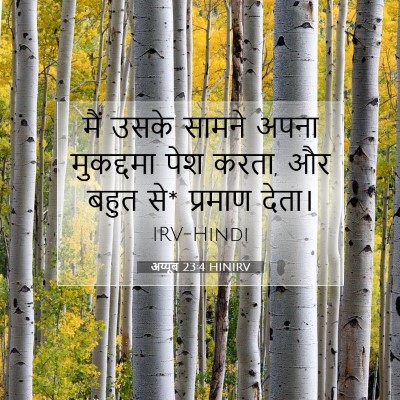 Picture 07 - अय्यूब 23:4 HINIRV - मैं उसके सामने - Bible Verse Picture