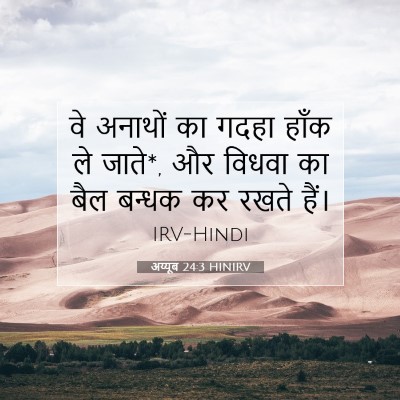Picture 07 - अय्यूब 24:3 HINIRV - वे अनाथों का गदहा - Bible Verse Picture