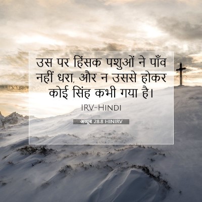 Picture 07 - अय्यूब 28:8 HINIRV - उस पर हिंसक पशुओं - Bible Verse Picture