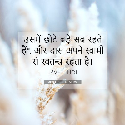 Picture 07 - अय्यूब 3:19 HINIRV - उसमें छोटे बड़े सब - Bible Verse Picture