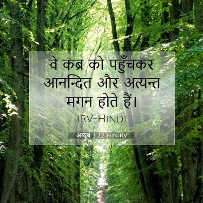 Picture 07 - अय्यूब 3:22 HINIRV - वे कब्र को पहुँचकर - Bible Verse Picture