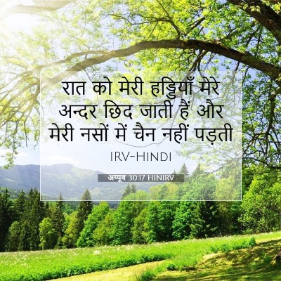 Picture 07 - अय्यूब 30:17 HINIRV - रात को मेरी - Bible Verse Picture
