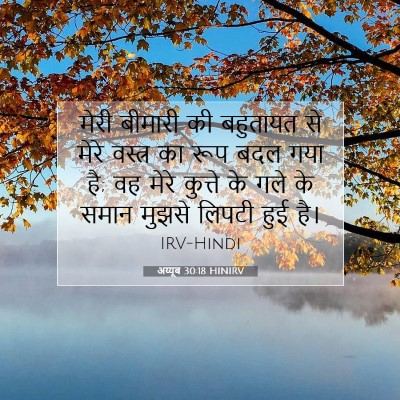 Picture 07 - अय्यूब 30:18 HINIRV - मेरी बीमारी की - Bible Verse Picture