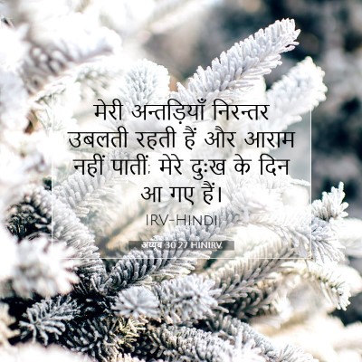 Picture 07 - अय्यूब 30:27 HINIRV - मेरी अन्तड़ियाँ - Bible Verse Picture