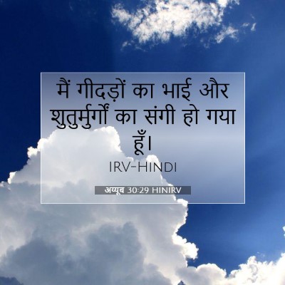 Picture 07 - अय्यूब 30:29 HINIRV - मैं गीदड़ों का भाई - Bible Verse Picture