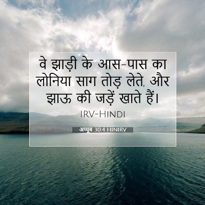 Picture 07 - अय्यूब 30:4 HINIRV - वे झाड़ी के आस-पास - Bible Verse Picture