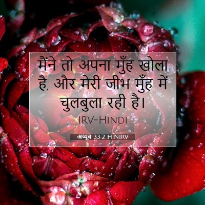 Picture 07 - अय्यूब 33:2 HINIRV - मैंने तो अपना मुँह - Bible Verse Picture
