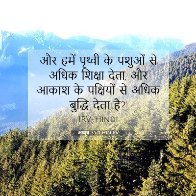 Picture 07 - अय्यूब 35:11 HINIRV - और हमें पृथ्वी के - Bible Verse Picture