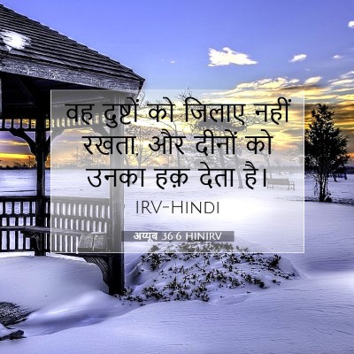 Picture 07 - अय्यूब 36:6 HINIRV - वह दुष्टों को - Bible Verse Picture