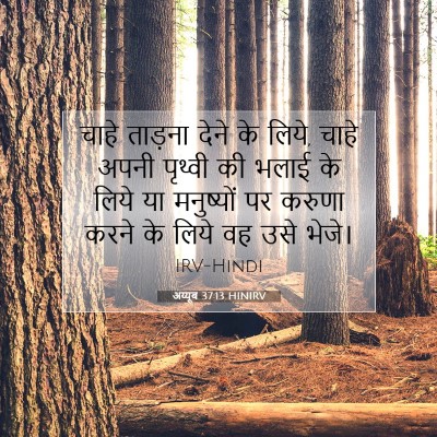 Picture 07 - अय्यूब 37:13 HINIRV - चाहे ताड़ना देने - Bible Verse Picture