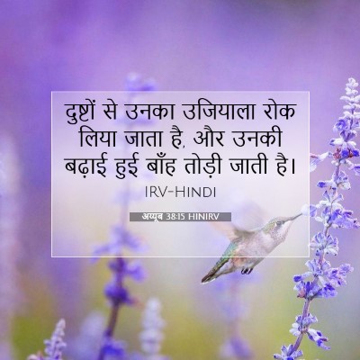 Picture 07 - अय्यूब 38:15 HINIRV - दुष्टों से उनका - Bible Verse Picture