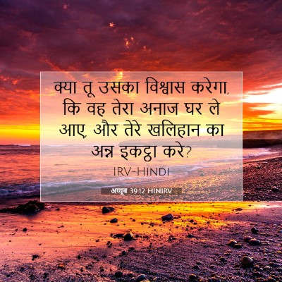 Picture 07 - अय्यूब 39:12 HINIRV - क्या तू उसका - Bible Verse Picture