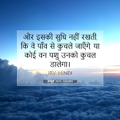 Picture 07 - अय्यूब 39:15 HINIRV - और इसकी सुधि नहीं - Bible Verse Picture