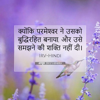 Picture 07 - अय्यूब 39:17 HINIRV - क्योंकि परमेश्‍वर - Bible Verse Picture