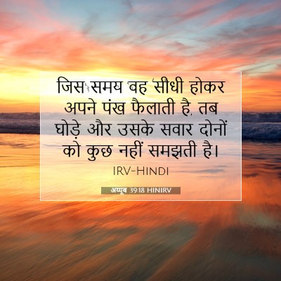 Picture 07 - अय्यूब 39:18 HINIRV - जिस समय वह सीधी - Bible Verse Picture
